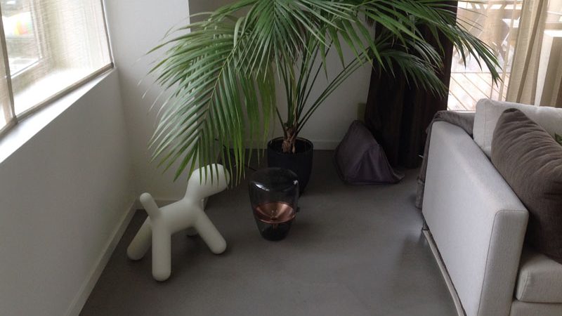 donkere gietvloer in woonkamer