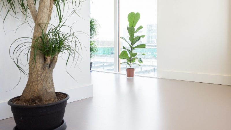 gietvloer voor yoga